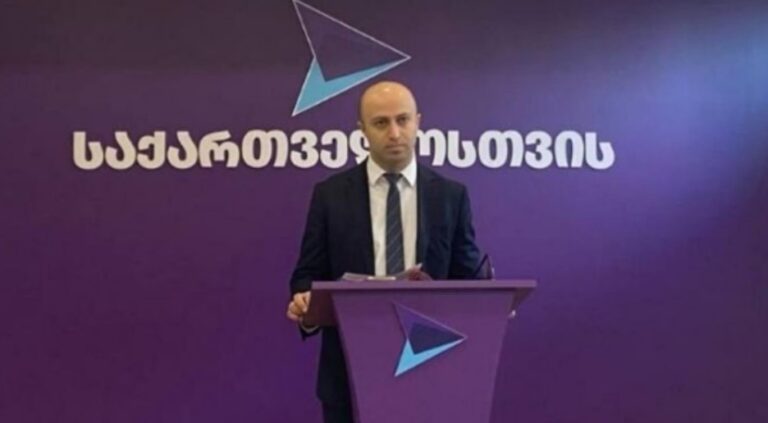 ჩვენს გუნდს თურმე ეძებენ და ვერ პოულობენ პროტესტში, ვიღაცების დავალებით ის ადამიანები "დაგვეძებენ", თან "თვალთხარიას" რომ გვეძახიან, თან ივანიშვილის პროექტს -ბერდია სიჭინავა