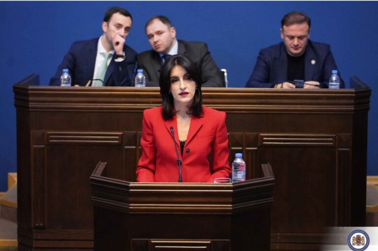 2030 წლისთვის ევროკავშირი თუ გაფართოვდება, საქართველო კანდიდატ ქვეყნებს შორის ყველაზე კარგად იქნება მომზადებული ევროკავშირის წევრობისთვის-მაკა ბოჭორიშვილი