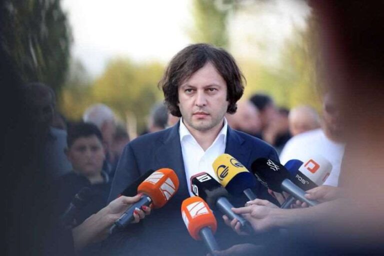 ევროპარლამენტარები ხედავენ, რომ ხალხი ვერ შეკრიბეს ოპოზიციის გარშემო და უნდათ, თავიანთი ვიზიტებით გაამაგრონ ოპოზიცია, თუმცა მეტად ამობილიზებენ ჩვენს მხარდამჭერებს, რადგან ეხებიან ჩვენი საზოგადოების ღირსებას -ირაკლი კობახიძე