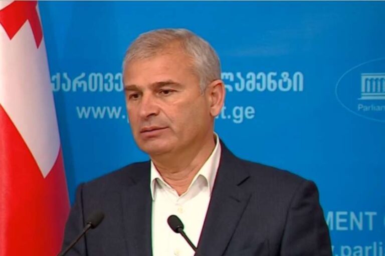 სამწუხაროა, რომ 34 წლის განმავლობაში, ევროკავშირის მხრიდან რეალური ინვესტირება 100 მილიონზე მეტი არაა - ირაკლი ქადაგიშვილი