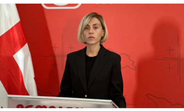 ერთადერთი გამოსავალი არის თავისუფალი და სამართლიანი არჩევნები - ანა წითლიძე