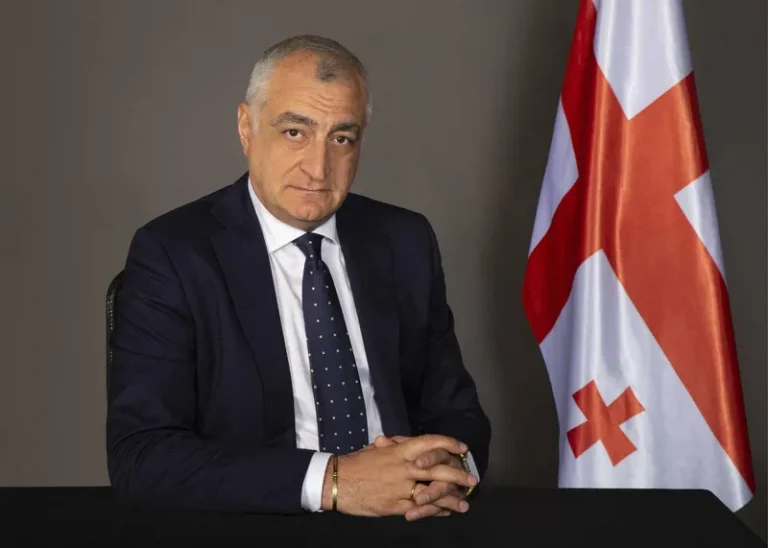 ,,ევროკავშირთან გადაჭრილი და დაგდებული ურთიერთობა სასწრაფოდ უნდა აიღოს ხელში ოპოზიციამ ''- მამუკა ხაზარაძე