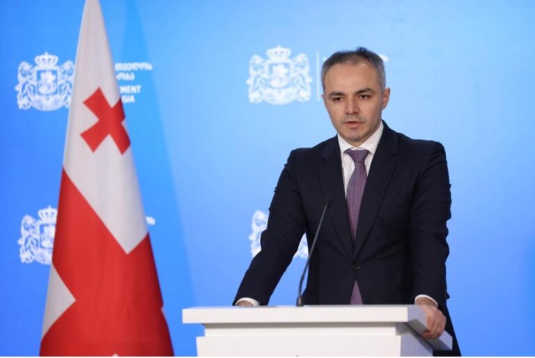 "ყოვლად მიუღებელია საგანმანათლებლო დაწესებულებების პოლიტიზება " - ალექსანდრე წულაძე