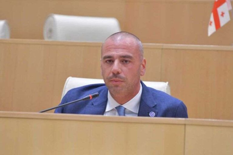ამორალური და ამაზრზენი მოწოდებები კეთდება რადიკალური ოპოზიციის წარმომადგენლების მხრიდან - ლევან მაჭავარიანი