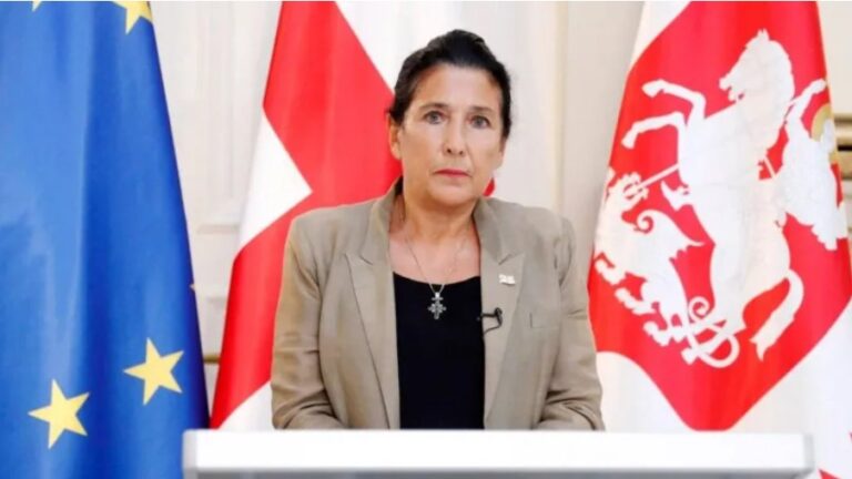 ადამიანის ძირითადი უფლებების უხეში დარღვევები - გატაცებები, ცემა, უკანონო ჩხრეკა და დაპატიმრებები გრძელდება -სალომე ზურაბიშვილი