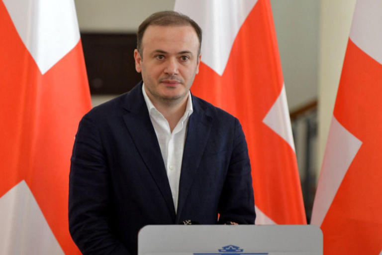 კოსმოსი შეისწავლეთ, პოლიტიკას შეეშვით - ირაკლი ზარქუა ევროპარლამენტარ კუბილიუსს