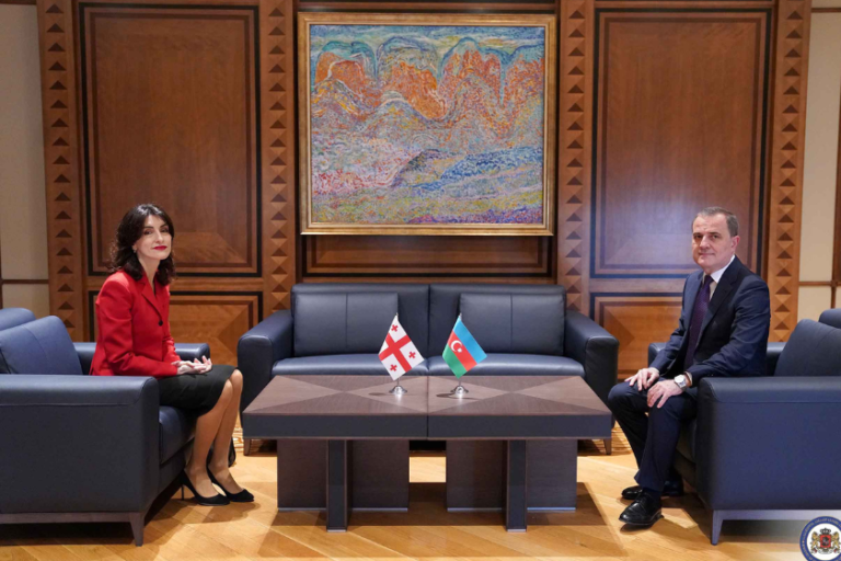 საქართველო და აზერბაიჯანი კარგად უმკლავდება სხვადასხვა მხრიდან ჩარევის მცდელობებს - მაკა ბოჭორიშვილი