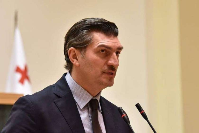 განსხვავებულობის მიუხედავად, უნდა დავდგეთ ერთად, ასე შეგვიძლია ავაშენოთ ერთიანი, ძლიერი და დამოუკიდებელი საქართველო - მიხეილ ყაველაშვილი