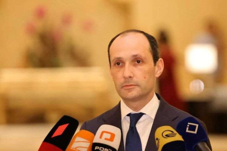 მსოფლიო მთავრობათა სამიტის ფარგლებში საშუალება მოგვეცა, გვქონოდა შეხვედრები არაერთ სამთავრობო დელეგაციასთან - ლევან დავითაშვილი