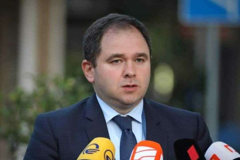 საკმაოდ მწვავედ დავაყენეთ საქართველოს ტერიტორიების ოკუპაციის საკითხი - ნიკოლოზ სამხარაძე ეუთოს საპარლამენტო ასამბლეაზე