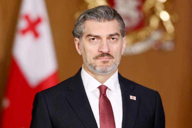 ორმაგი სტანდარტი საქართველოსთან მიმართებაში ზიანს აყენებს ევროპულ ღირებულებებს და ევროპელი პარტნიორების რეპუტაციას - მიხეილ ყაველაშვილი