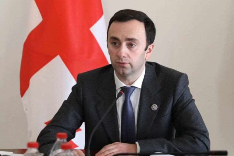 "სამწუხარო იქნება, თუ გერმანიის ელჩის სტატუსით ჩამოსული ადამიანი, საქართველოს დატოვებს როგორც "ნაციონალური მოძრაობის" ელჩი" - ლევან მახაშვილი