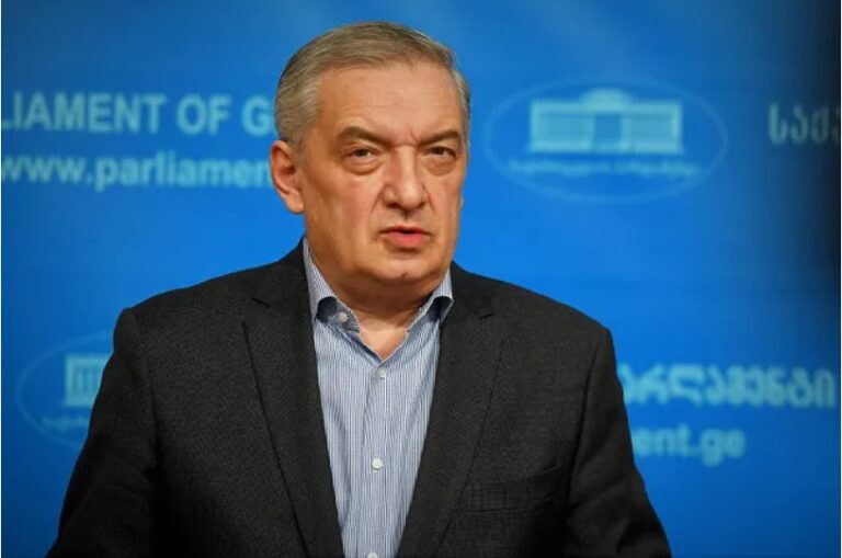 არ შეიძლება, ადამიანთა გაერთიანებას პოლიტიკური პარტია ეწოდოს, როდესაც ისინი ერთი სცენარით მოქმედებენ და ამ სცენარის საერთო სახელი არის კოლექტიური „ნაცმოძრაობის“ მიერ დესტაბილიზაციის პროცესების განვითარება საქართველოში-გიორგი ვოლსკი
