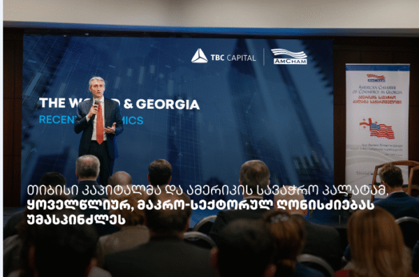 თიბისი კაპიტალმა და ამერიკის სავაჭრო პალატამ მაკრო-სექტორულ ღონისძიებას უმასპინძლეს
