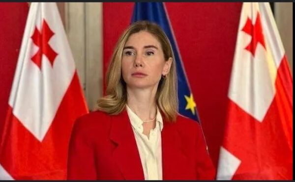 "სტრასბურგში ძალიან მნიშვნელოვან სამუშაოს ვეწევით - უნდა ველოდოთ დიდი ბრიტანეთიდან სანქციების გაფართოებას" - თინა ბოკუჩავა