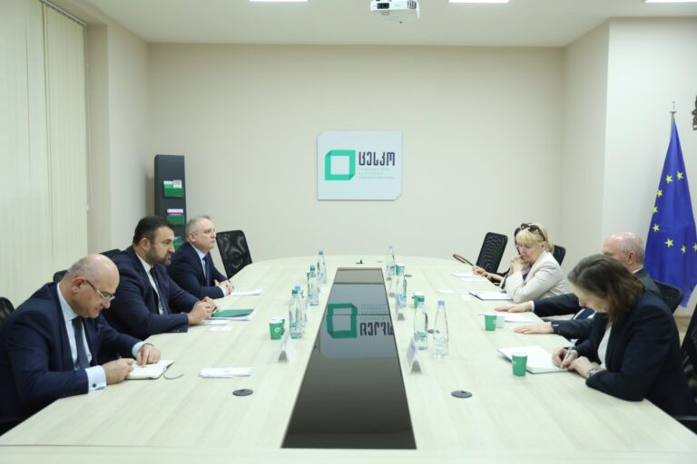 ცესკოს თავმჯდომარე ეუთოს გენერალურ მდივანს შეხვდა