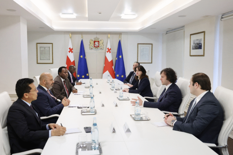გლობალური პარტნიორობის განმტკიცება საქართველოსთვის კვლავ უმთავრესი პრიორიტეტია - ირაკლი კობახიძე გაეროს ელჩებთან შეხვედრაზე