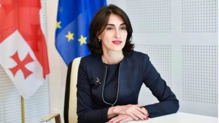 ,,ხელისუფლებას დააბრალო, რომ მას უნდა საქართველოს მოქალაქეებს წაართვას უვიზო მიმოსვლა ევროკავშირთან, აბსურდულია''- მაკა ბოჭორიშვილი