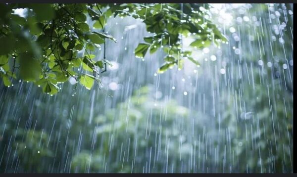 უახლოესი დღეების ამინდის პროგნოზი