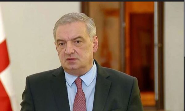 ,,ევროკავშირის რეგლამენტით ასე ადვილი არ არის ამ საკითხის გადაწყვეტა”- გიორგი ვოლსკი