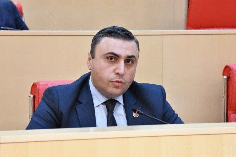 საქმიანობა აწარმოა სალომე ზურაბიშვილმა, როგორ შეიწყალა „დიფ სთეითის“ ერთმა აგენტმა მეორე აგენტი, ნიკა გვარამია - დავით მათიკაშვილი „მაკკეინის ინსტიტუტის“ განცხადებაზე