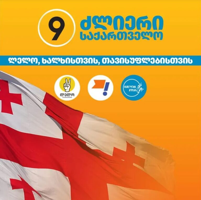 ნიკა მელიას დაკავება სხვა არაფერია, თუ არა ე.წ. სახელისუფლო ვერტიკალში სისტემური კრიზისის დადასტურება -"ძლიერი საქართველო"
