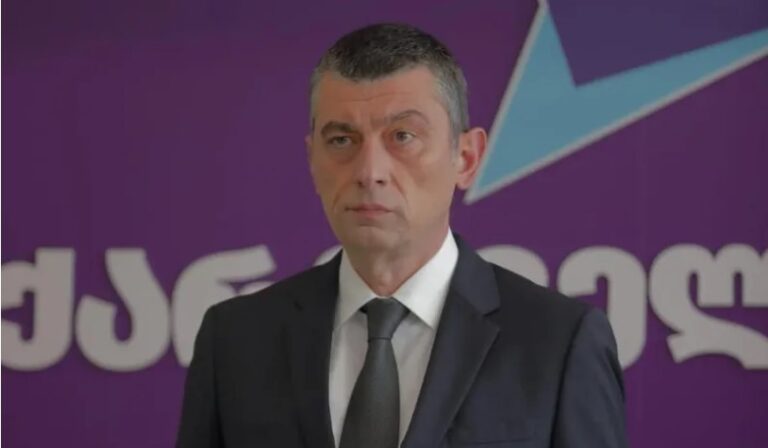 სამწუხაროდ, დღეს "ოცნებას" ჰყავს იმდენი მხარდამჭერი, რამდენსაც არ იმსახურებს და ამაში თითოეული ჩვენგანის ბრალიც არის -გიორგი გახარია