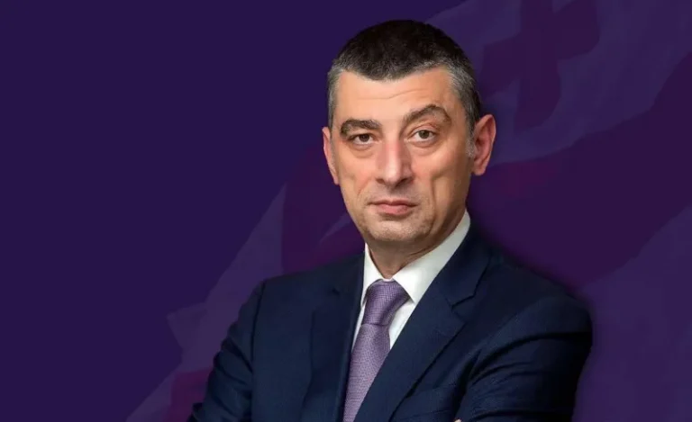 თუ ევროკავშირი დააყენებს „ქართული ოცნების“ ლეგიტიმაციის საკითხს და პირობად დაასახელებს პატიმრების გათავისუფლებას და ახალ არჩევნებს, ის შეძლებს ზეწოლა მოახდინოს რეჟიმზე ისე, რომ არ დააზიანოს ევროპული პერსპექტივა - გახარია