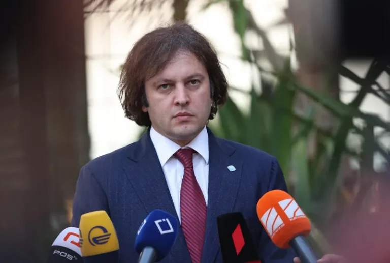თვის ბოლოს გიორგი გახარია აპირებს გამოცხადებას, რომ მონაწილეობას მიიღებს თვითმმართველობის არჩევნებში - ირაკლი კობახიძე