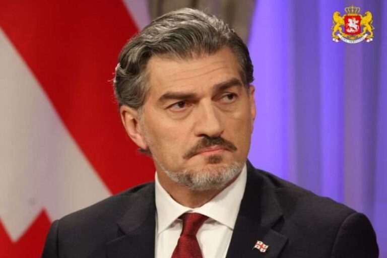 მიუღებელია ორმაგი სტანდარტი, რა მიდგომებიც აქვთ. მიუხედავად ამისა, ქვეყნებს, რომლებიც ამ ქმედებებს სჩადიან, მივიჩნევთ პარტნიორებად - მიხეილ ყაველაშვილი
