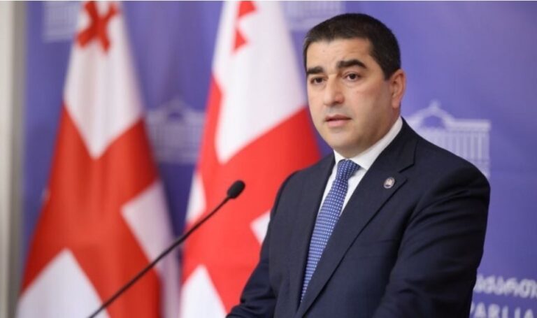 "ევროკავშირის საელჩომ ისე ჩაატარა ევროპის დღის ღონისძიება, ერთი სიტყვითაც არ მიულოცა ქართველ ხალხს ფაშიზმზე გამარჯვების მე-80 წლისთავი...ჭეშმარიტი ევროპა წარსულის დაფასებაშია" - შალვა პაპუაშვილი