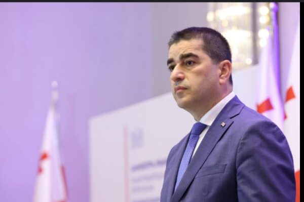 ,,დამოუკიდებლობა პროცესია, ყოველდღიური ბრძოლა, რომელიც არ მთავრდება''- შალვა პაპუაშვილი