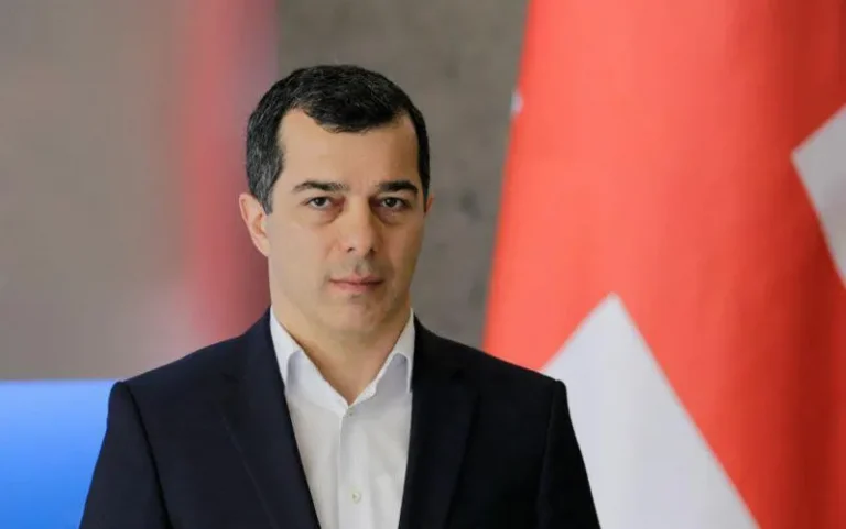 შემოსავლების სამსახურის უფროსის თანამდებობაზე ირაკლი ბერაია დაინიშნა