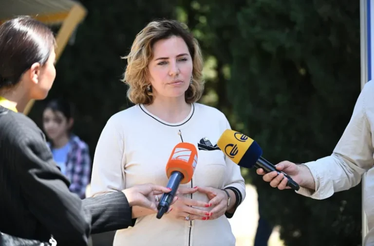 მუნიციპალიტეტები არაფერს არ აკეთებენ ხალხის უსაფრთხოებისთვის - ანა დოლიძე