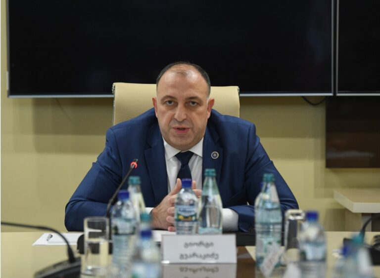 პარლამენტმა საქართველოს გენერალურ პროკურორად გიორგი გვარაკიძე აირჩია