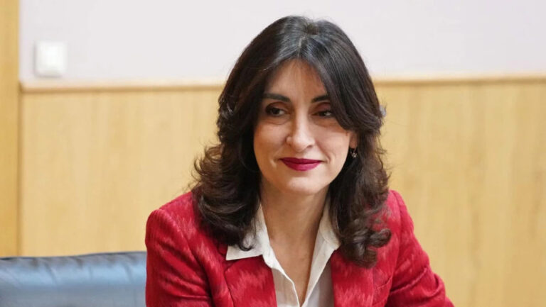 ერთადერთი, რასაც საქართველოს ხელისუფლება ოპოზიციის ქმედებებს უპირისპირებს არის საქმე - მაკა ბოჭორიშვილი