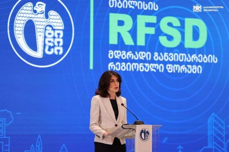 ჩვენმა უახლესმა ისტორიამ გვასწავლა, რომ შეუძლებელია განვითარებაზე საუბარი მშვიდობის გარეშე - მაკა ბოჭორიშვილი