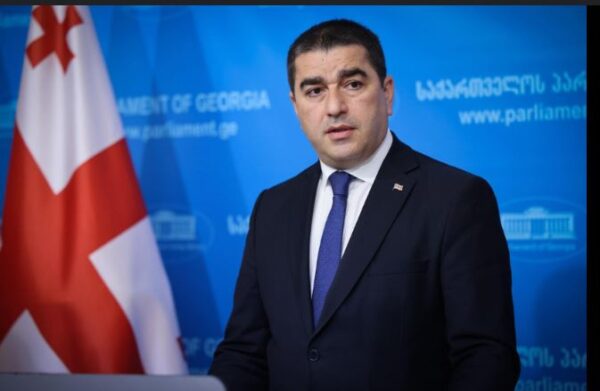 ,,საინტერესო ისაა, რომ  ტუსკმა მიგრაციის საკითხს გაუსვა ხაზი. პირდაპირ ამბობს, რომ ქართველ ხალხს დააბრალებს თავის ქმედებებს''- შალვა პაპუაშვილი