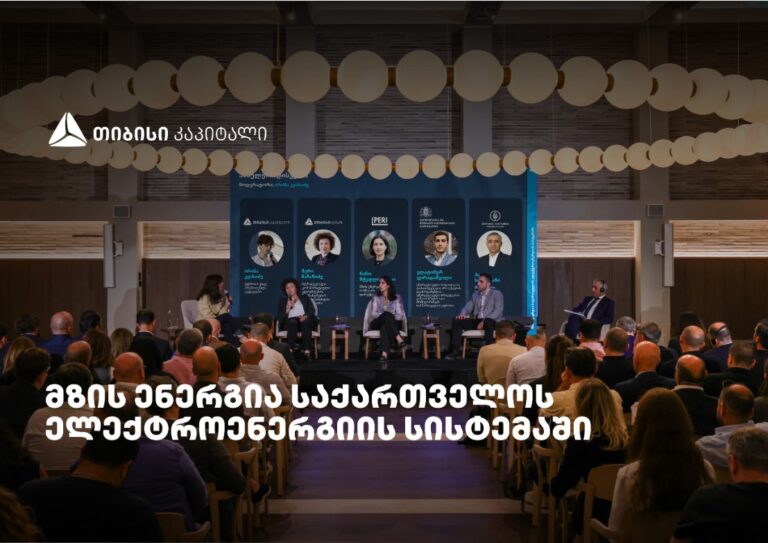 „მზის ენერგია საქართველოს ელექტროენერგიის სისტემაში" - თიბისი კაპიტალმა ახალი კვლევა წარადგინა