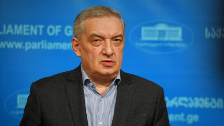 ევროპარლამენტის რეზოლუცია სამართლიან ინფორმაციაზე დაფუძნებული არ არის-გია ვოლსკი