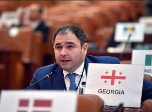 ნიკოლოზ სამხარაძე: ვხედავთ, რომ ეუთო ეგზისტენციალურ კრიზისშია - ეუთომ ვერ შეძლო საქართველოსა და უკრაინის წინააღმდეგ რუსეთის შეიარაღებული აგრესიის თავიდან აცილება