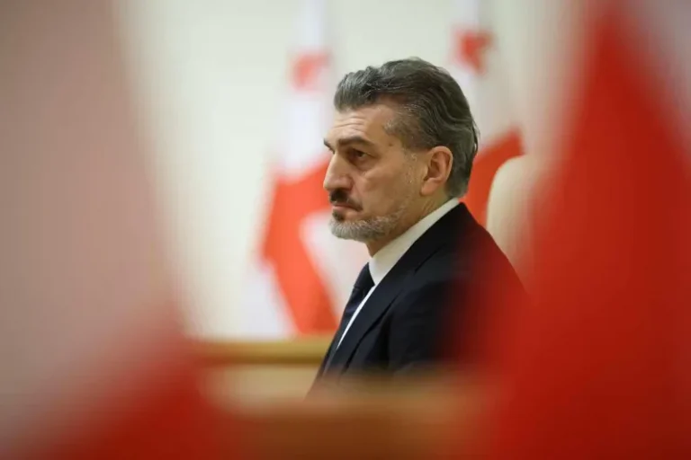ვთავაზობ ყველა მსჯავრდებულ პოლიტიკოსს, მომმართოს განცხადებით შეწყალების შესახებ და იმავე განცხადებით დაადასტუროს სურვილი არჩევნებში მონაწილეობის შესახებ, დაუყოვნებლივ გამოვცემ აქტს შეწყალების თაობაზე - მიხეილ ყაველაშვილი