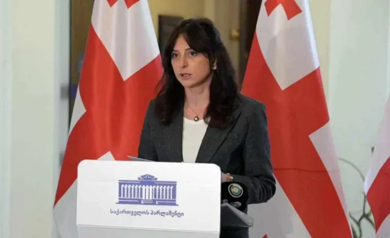 ღრმად მრწამს, რომ „ლელოსა“ და გახარიას პარტიაში ძალიან ნანობენ, რომ პარლამენტში მანდატები არ გამოიყენეს  - მაია ბითაძე