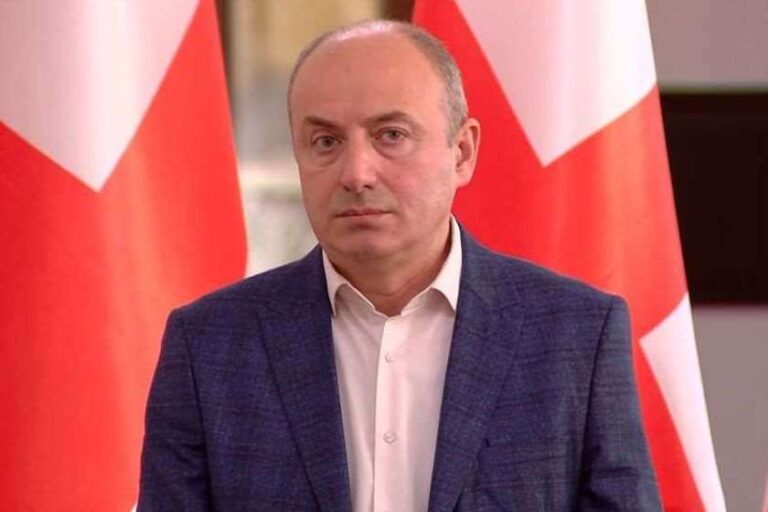 ვერც „ლელოს“ და ვერც ALDE-ს წარმომადგენლებს ვერ ჩამოხსნიდი დღის წესრიგიდან, ტელევიზიებიდან და სააგენტოებიდან - გურამ მაჭარაშვილი