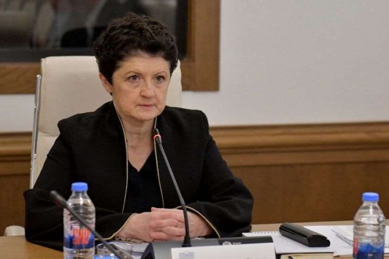 კომისიის დასკვნა მნიშვნელოვანია იმით, რომ დოკუმენტში თავმოყრილია ყველა ის ფაქტი და ქმედება, რომელსაც სჩადიოდა „ნაციონალური მოძრაობა“, მიხეილ სააკაშვილი და სხვა პირები 2003 წლის ნოემბრიდან დღევანდელი დღის ჩათვლით - თეა წულუკიანი