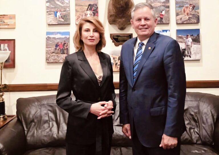 თამარ ტალიაშვილი აშშ-ის სენატორ სტივ დეინს შეხვდა