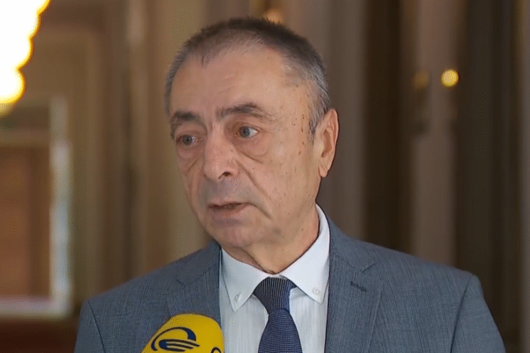 დამხობა თავის თავში მოიცავს ძალადობას, წინააღმდეგ შემთხვევაში ეს არის ჩვეულებრივი დემონსტრაცია, რომელიც შეუძლიათ თავისუფლად ჩაატარონ ნებისმიერ დღეს, ნებისმიერი რაოდენობის მოქალაქეებმა - თენგიზ შარმანაშვილი