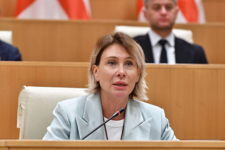 საზოგადოება „ქართულ ოცნებას“ მხარს უჭერს, რადგან საქართველო არის უსაფრთხო და დაცული ქვეყანა, მიმზიდველი საბაზრო ეკონომიკით, ეფექტიანი მთავრობით და დამოუკიდებელი სასამართლო სისტემით, ძლიერი სახელმწიფო ინტიტუტებით - ნინო წილოსანი