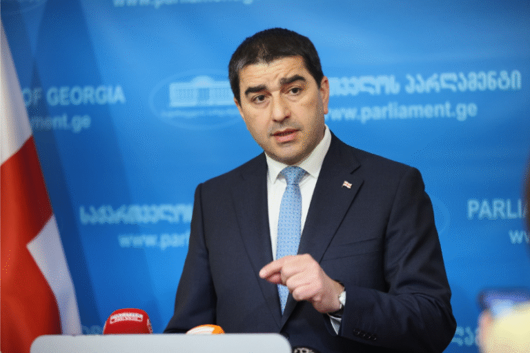 საარჩევნო შტაბზე „ნაცი“ „ტიტუშკების“ თავდასხმები არჩევნებში გარე ჩარევის აშკარა მაგალითია - „მოძალადე მედია“ ახალი ფენომენია, რომელიც უცხოელი დონორების შექმნილი პროდუქტია - შალვა პაპუაშვილი