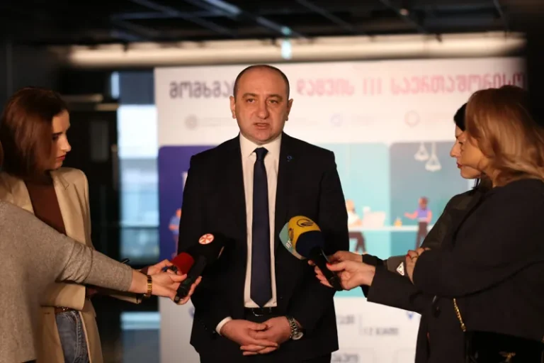 საქართველოში, სადაც სახელმწიფო ენა არის ქართული, მომხმარებელს უფლება აქვს მიიღოს მომსახურება ქართულ ენაზე და მიმწოდებელი კომპანია ვალდებულია, უზრუნველყოს კომუნიკაციის აღნიშნული ფორმა - ირაკლი ლექვინაძე